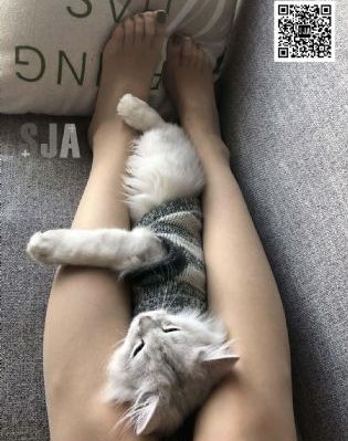 图书馆的女朋友动漫免费